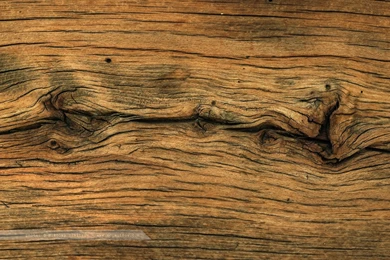 50 HD Wood Wallpapers For Free Download