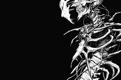 Skeleton Computer Wallpapers, Desktop Backgrounds