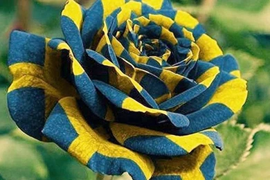 Nature Wallpapers, Nature Backgrounds, View, Wallpapers Of Nature ...