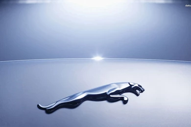 Jaguar Logo Wallpapers   Car Wallpapers