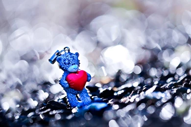 Toys, Teddy Bear Wallpapers And Images   Wallpapers, Pictures, Photos