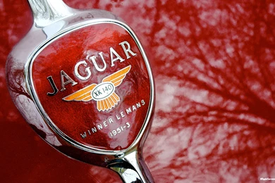 Jaguar Red Logo HD Desktop Wallpaper Backgrounds Download