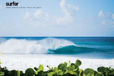 Barrel Action On Pinterest Gallery 129