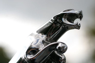 Brands & Logos Wallpapers