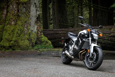 New Feature On FZ07oc.com. Introducing The FZ07 Gallery