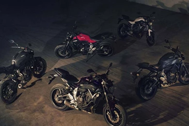 2014 Yamaha FZ 07 models