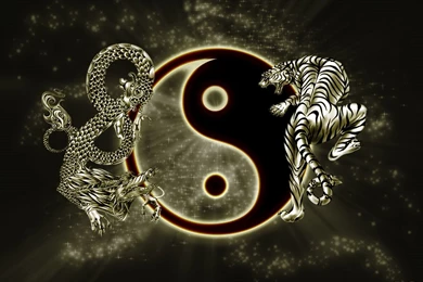 Yin Yang By DrakenMaster On DeviantArt