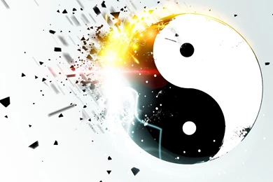 Yin And Yang Cats Wallpapers   1454135