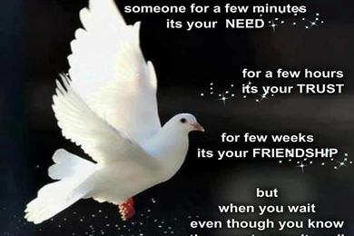 TRUE LOVE WALLPAPER   (