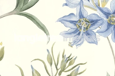 Clementine Wallpapers From Sanderson   213389   Delft Blue