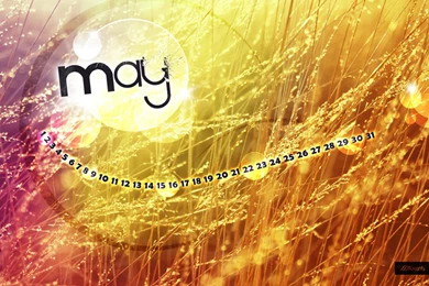 Wallpapers May 2010 Design.axenis.net