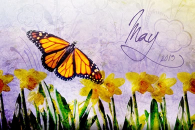 Desktop Wallpapers May 2013 Edition – Inspired By Dolly Parton's ...