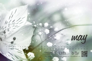 1280x800 Cellnique May 2011 Wallpapers Desktop PC And Mac Wallpapers