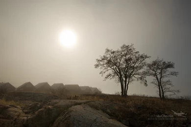 May Desktop Wallpapers