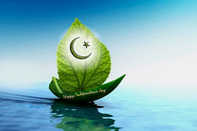 Wallpaper: Pakistani Flag Wallpapers