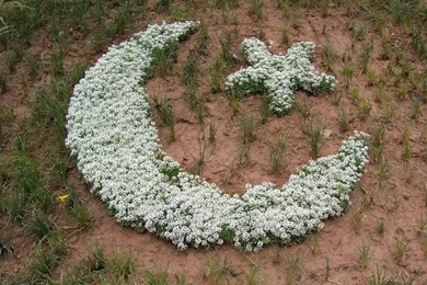 All New Pix1: 14 Aug Wallpapers Free Download