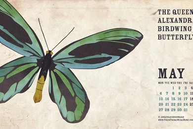 May 2013 Desktop Wallpapers