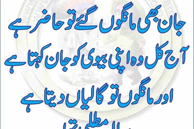 Funny Pictures 2013   FunAwake.com