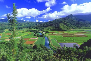 1280x1024 Nature Wallpapers,Beautifull Natural Wallpapers Free ...