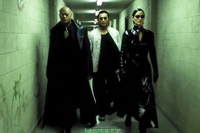 Crazy Frankenstein   Matrix Wallpapers