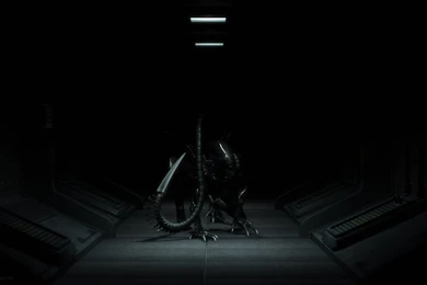 Alien Wallpapers 384 Xe   WallpaperXe.com