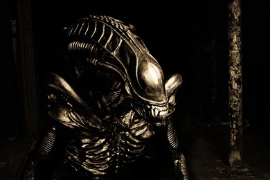 Cool Alien Wallpapers Hd 2015   Desktop.Wallpaperchanel.com