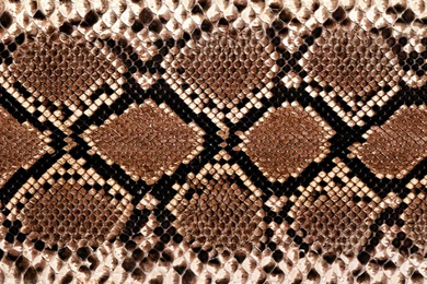 Cheetah Print Wallpapers Pretty C4Y » WALLPAPERUN.COM