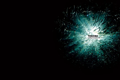 Toshiba Wallpapers