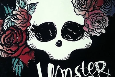 Monster High Wallpapers