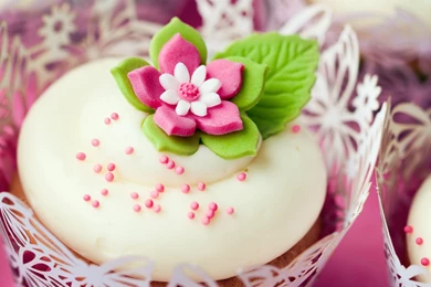 Download Cupcakes Wallpapers 654 2560x1600 Px High Resolution ...
