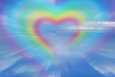 Mattie's One Year At The Rainbow Bridge   Forum