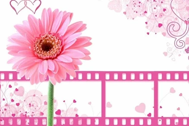 Best Friends Forever