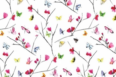 Wallpapers Direct Uk 2015   Grasscloth Wallpapers