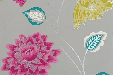 Albany Catwalk Wallpapers