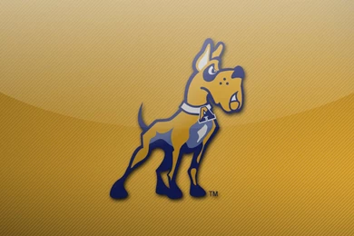 Albany Wallpapers   Wallpapers HD Base