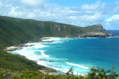 Albany Wallpapers   Wallpapers HD Base