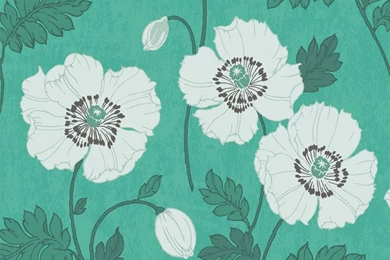 Poppycock, Teal Wallpapers Tiles Contemporary Wallpapers By ...