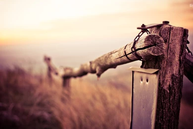 Free Soothing Wallpapers