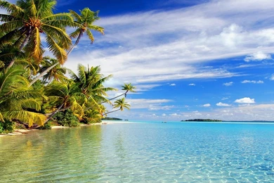 Tropical Beach Wallpapers (20 Photos)
