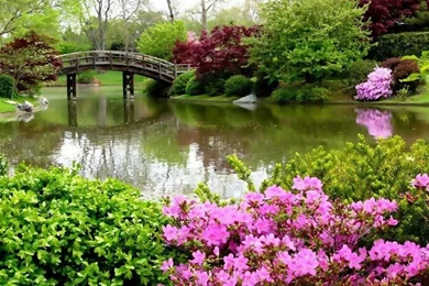 Peter Soothing Bridge Scenery