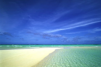 Soothing Ocean Beach Beautiful Exotic Paradise