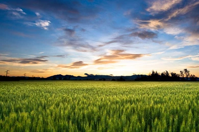 Download: 35 Great Wallpapers From The Sony Xperia Z3