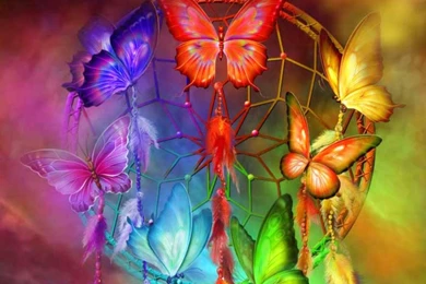 Rainbow Butterflies (