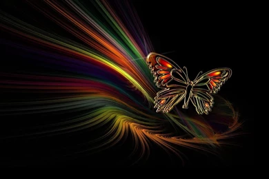Rainbow Butterfly Digital Art Hd Wallpapers 1920×1080 12961 ...