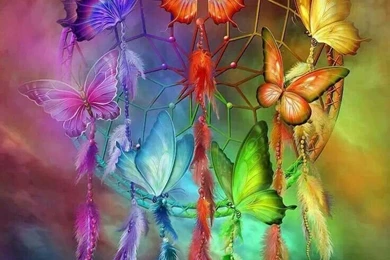 Rainbow Butterfly Dreamcatcher