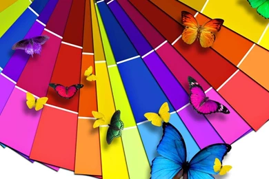 Rainbow Butterfly (id: 39299) – BUZZERG