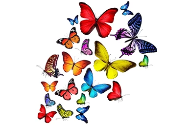 Download Wallpapers Colorful, Rainbow, Butterflies, 3d, Colorful ...