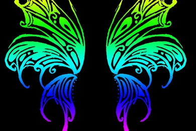 Rainbow Butterfly Wings By Mandykat On DeviantArt