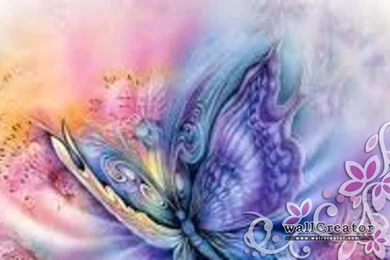 Butterfly Rainbows   1440 / 900 Wallpapers