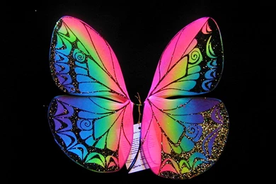 Rainbow Butterfly (id: 37300) – BUZZERG